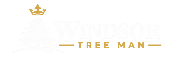 Windsor Tree Man white and gold logo for dark backgrounds